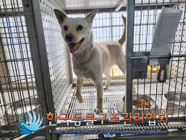 한국동물구조관리협회_411316202300169